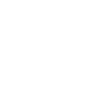 Icon_Shoes_White_Clear.png