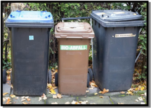 Recycling1-300x216.png